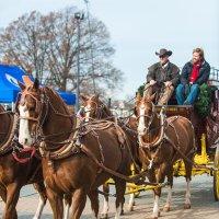 Dominion Christmas Parade 2016